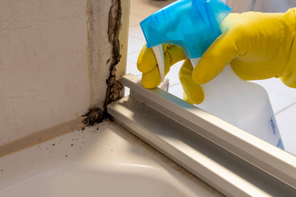 Best Industrial Mold Remediation in Luling, LA