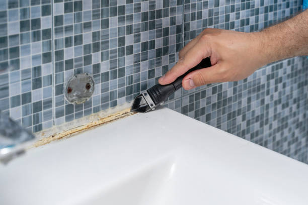 Best Bathroom Mold Remediation in Luling, LA